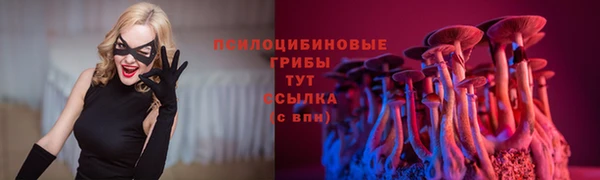 прущий лед Бугульма
