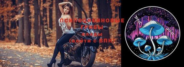 эйфоретик Бронницы
