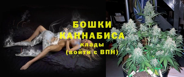 эйфоретик Бронницы
