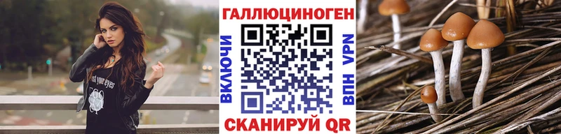 omg ссылка  Перевоз  Галлюциногенные грибы ЛСД  купить  цена 